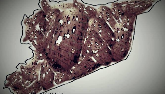 ديمقراطية غائبة وتراجع الفضاء العمومي للوطنية السورية ..