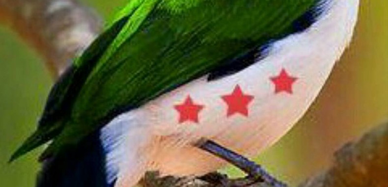 (يوم ميلادي..) ــ دهام الحسن