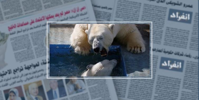 دب يلتهم يد طفل بحديقة حيوان بالضفة الغربية ..