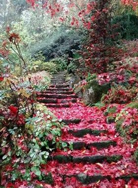 المرأة والثوره والواقع ــ لميس حسن