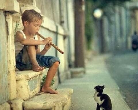 الشوق الدفين ــ سهير شاغوري