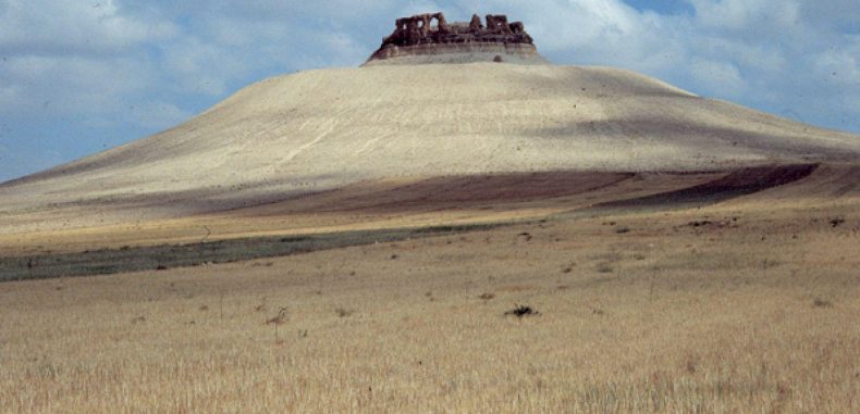 سلمية بين إرهاب عصابات الاسد وداعش ــ أمل العلي