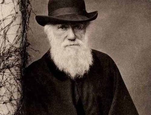 الثورة الداروينية هي الثورة الدائمة الوحيدة ــ يونادم يونادم