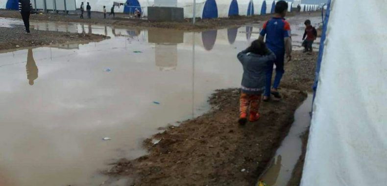 لسوريون يرفضون التوطين ويريدون العوده الى بلدهم ……