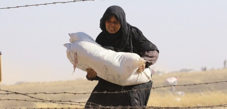 الأسرة السورية والثورة