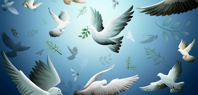 بناء السلم المجتمعي – هوزان خداج