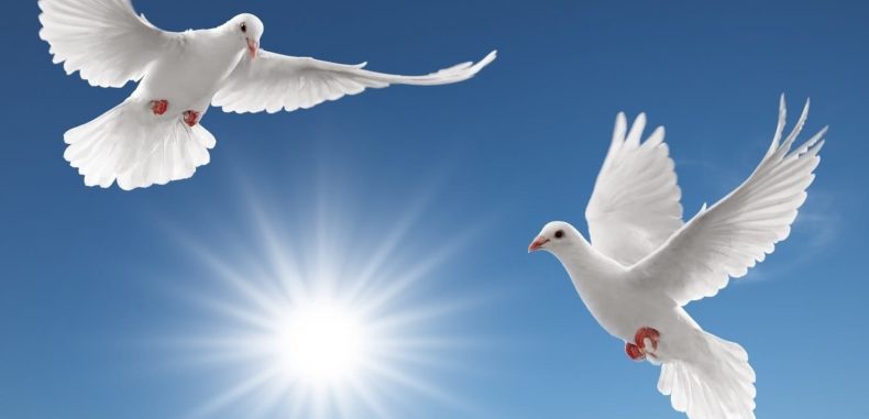 سلام لرسل السلام –  نارام الحاج