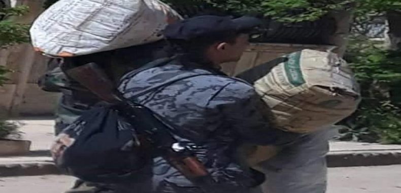 عصابات الشبيحة تستبيح أبرز أحياء مدينة حلب والموالون يستغيثون