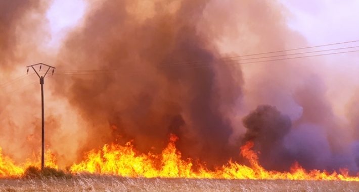 الحرائق تلتهم القمح المزروع بالشمال السوري