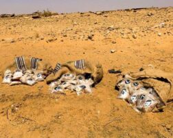 بعد ضبط إيطاليا 14 طناً .. السعودية تحبط محاولة تهريب 360 ألف حبة كبتاجون من الأردن