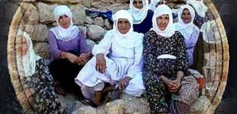 “تقطيع الشعيرية” موروث شعبي قديم في مدينة رأس العين”