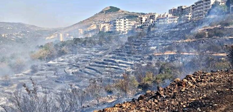 حرائق الغابات زادت سبل العيش في سوريا ضيقًا